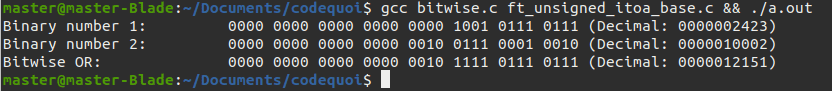 Résultat d'un programme qui utilise l'opérateur bitwise OU pour manipuler tous les bits d'un entier non-signé.