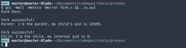 Output of a test program for the fork system call to create a child process.