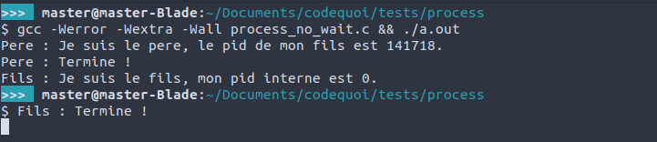 Résultat d’un fork qui fait que le processus père se termine directement, tandis que son processus fils attend 1 seconde. L’invite de commande nous est rendue avant que le processus fils ne se termine.