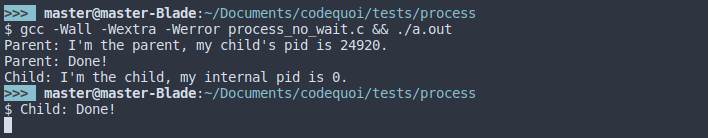 Output of a fork that forces a child process to sleep for 1 second while the parent returns immediately. The command prompt returns before the child process ends.