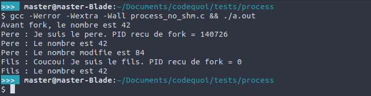 Résultat d’un programme de test pour démontrer que les processus fils ne partagent pas la mémoire du processus père ou des autres processus fils.