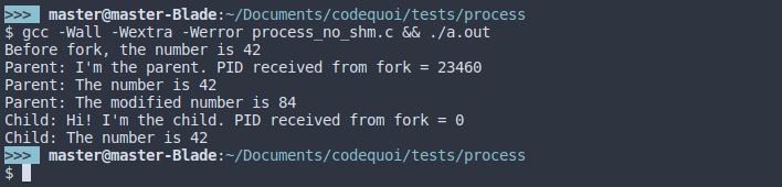 Output of a test program to show that child processes do not share any memory with their parent process.