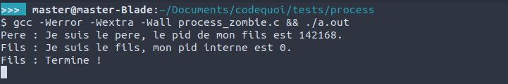 Résultat d’un programme qui crée des processus fils et une boucle infinie pour pouvoir aller regarder les fils devenir des processus zombie.