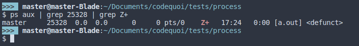 Output of a test to show a zombie process.