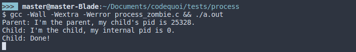 Output of a test program that creates a child process and an infinite loop to be able to go see the child become a zombie process.