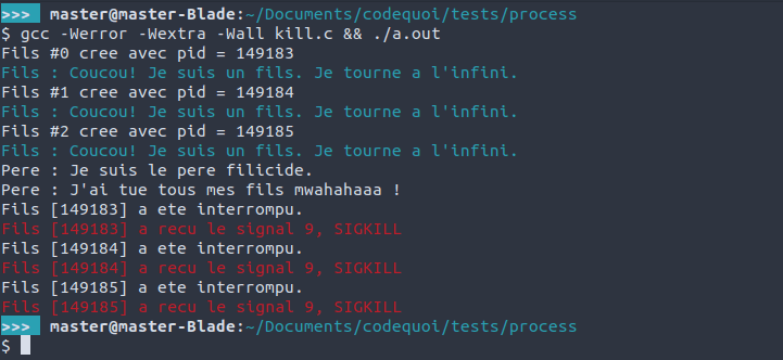 Résultat d’un programme de test pour voir comment tuer les processus fils avec le signal SIGKILL ou SIGTERM.