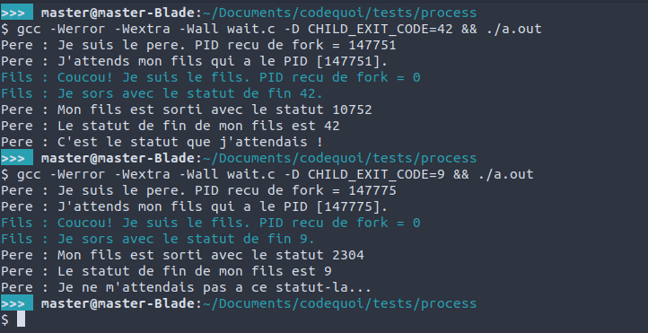 Résultat d’un programme de test pour voir comment récupérer et analyser le statut de fin d’un processus fils.