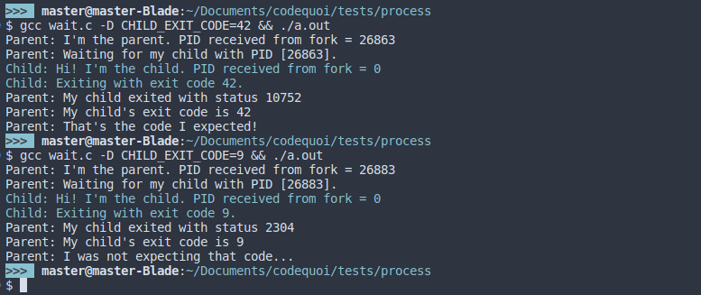 Output of a test program showing how to retrieve and analyse a child process’s exit status.