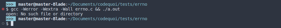 Output of a C program showing the usage of the perror function to print the current errno error.