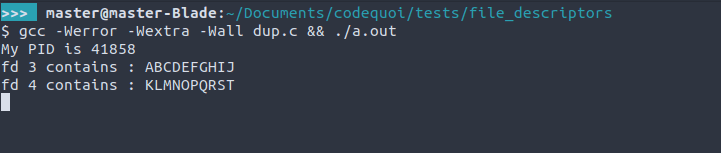 Output of a test program in C that shows file descriptor duplication with the dup and dup2 system calls.