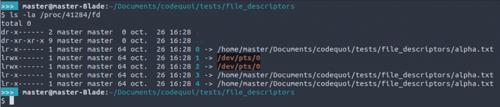 Liste des descripteurs de fichiers ouverts dans un processus qui duplique des fd.