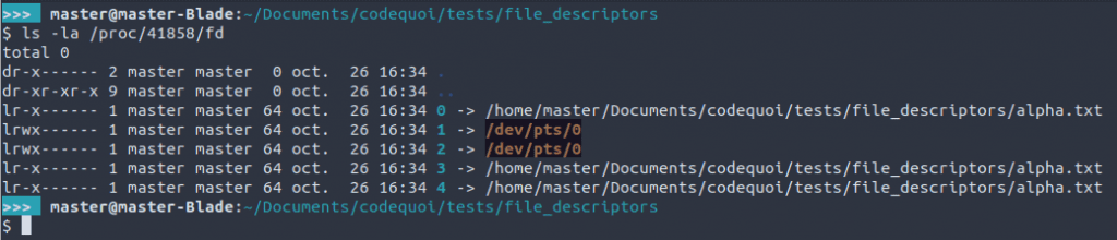 List of file descriptors opened in a process that duplicates fds.