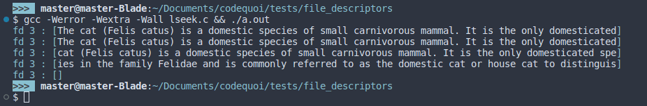 Output of a program in C showing the lseek function that changes a file descriptor offset.