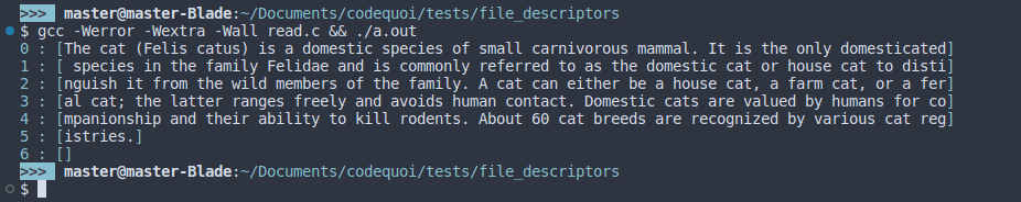 Output of a test program in C that reads from a file descriptor with the read function.