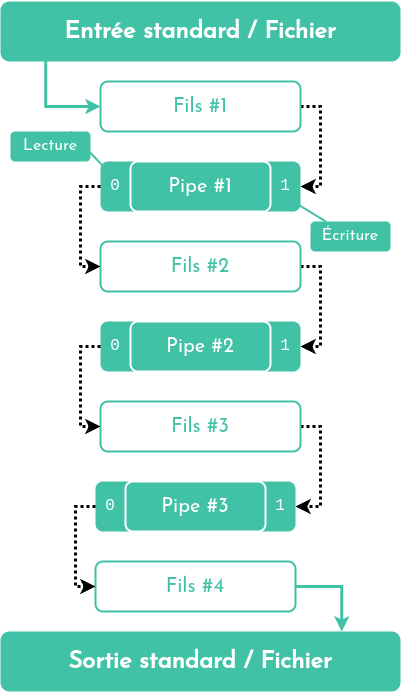 Diagramme d'une pipeline similaire à ce que fait un shell pour gérer de multiples commandes exécutées avec l'opérateur pipe |.