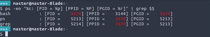 Output of the ps command that shows a process PID, PPID and PGID.