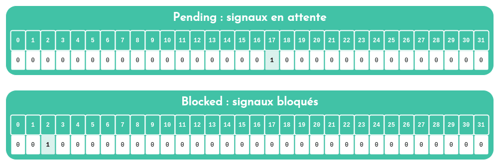 Exemple des vecteurs de bit pending et blocked dans un processus. Le vecteur pending surveille les signaux en attente. Un processus peut aussi ajouter un signal au vecteur blocked pour bloquer celui-ci.