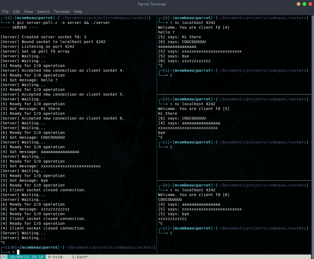 Output of a test program to create a server that uses poll() to monitor the sockets that are ready to read before relaying the read messages to all connected client sockets.