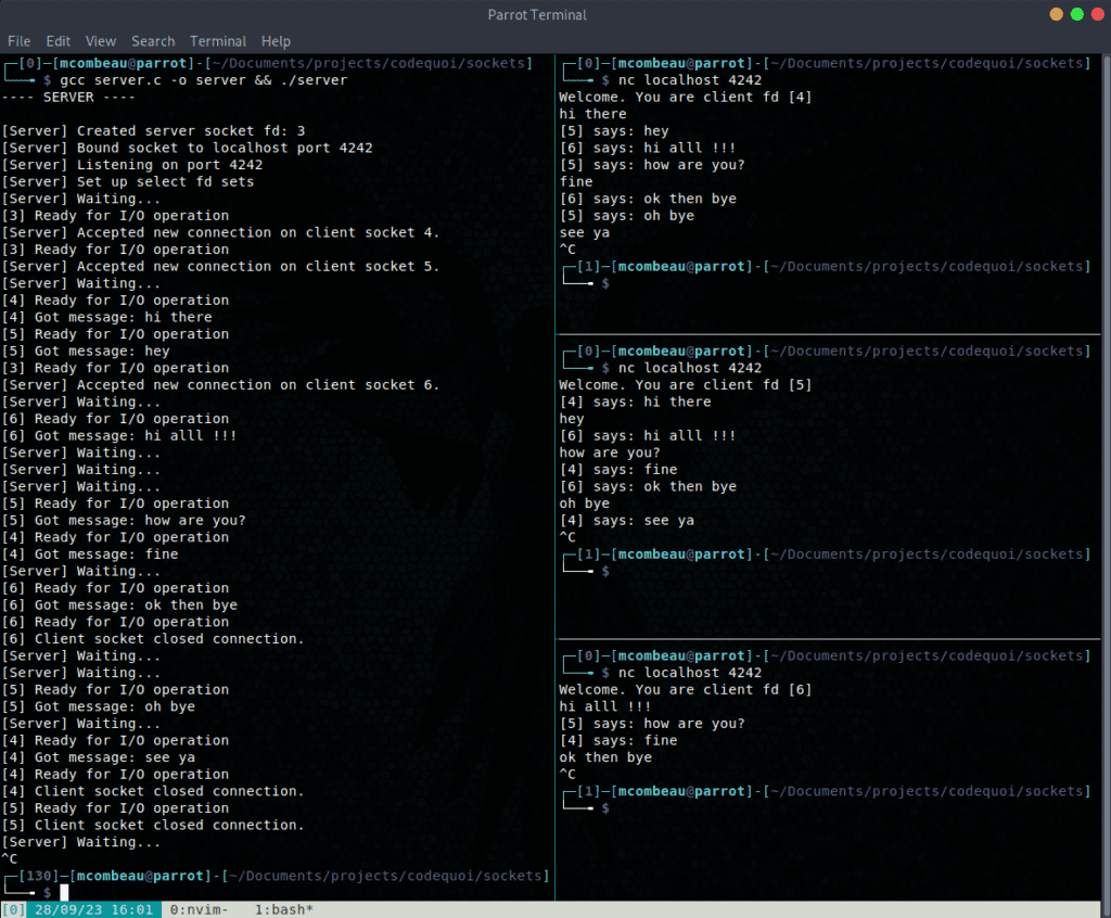 Output of a test program to create a server that uses select() to monitor the sockets that are ready to be read before relaying the received message to all its connected clients.