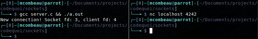 Output of a server program that detects a new connection with a socket.