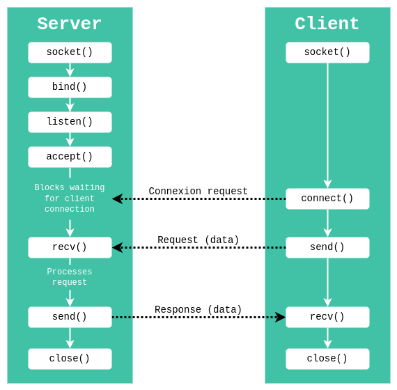 Diagram of network programming with sockets for a server and a client. The server uses the fuctions socket, bind, listen, accept, recv, sand and close, while the client uses socket, connect, send, recv and close.